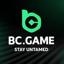 Exploring the BC App Casino A Comprehensive Guide -220394530