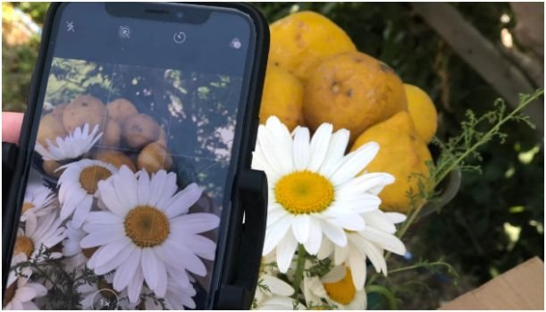 Composition Tricks That Make Photos Feel Expensive